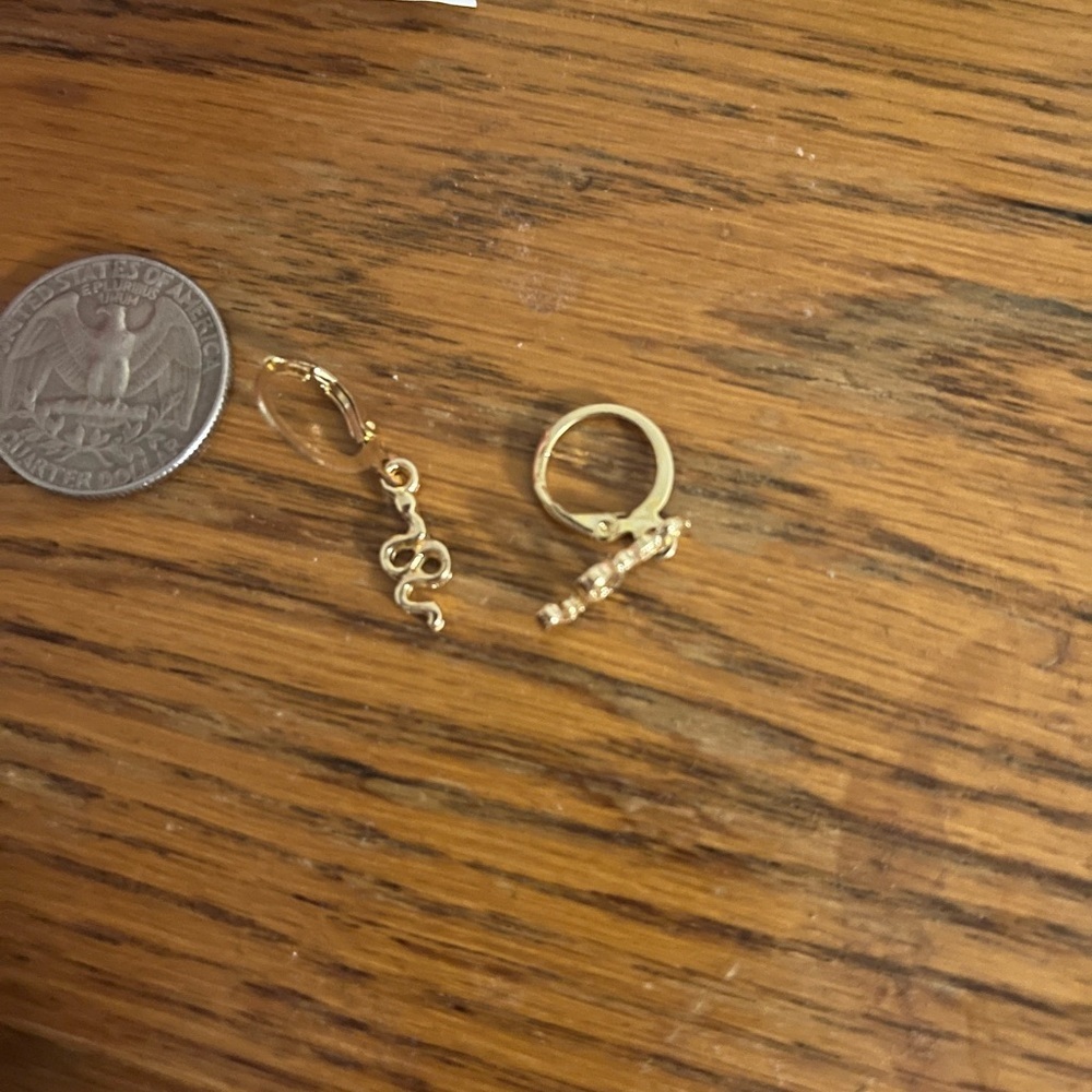 Chic Gold Snake Hoop Earrings